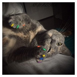Purrdy Paws Soft Nail Caps for Cat Claws Rainbow Glitter (Kitten)