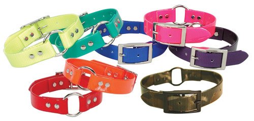 Omnipet Sunglo Ring-In-Center Dog Collar, 3/4'' Wide, Blue, Fits 11.5''- 15'' Neck Sizes, Vibrant Colors & Tough Construction Fo