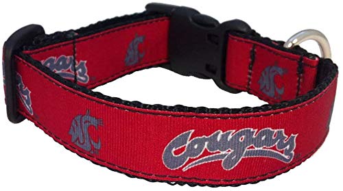 College Dog Collar (Medium, Washington State)