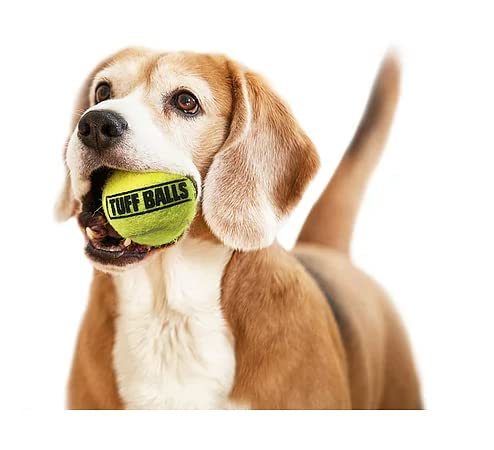 Petsport Yellow Tennis Ball Dog Toys | 12 Pack Medium (2.5'') Pet Safe Non-Toxic Industrial Strength Felt & Rubber Tuff Balls |