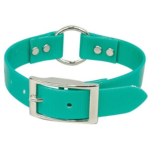 Omnipet Sunglo Ring-In-Center Dog Collar, 1' Wide, Green, Fits 16'- 19.5' Neck Sizes, Vibrant Colors & Tough Construction For