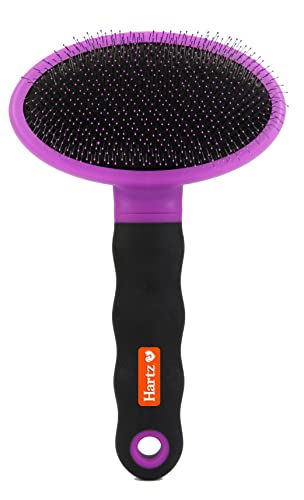 Hartz Groomers Best Deshedding Slicker Dog Brush, Black/Violet, Dogs