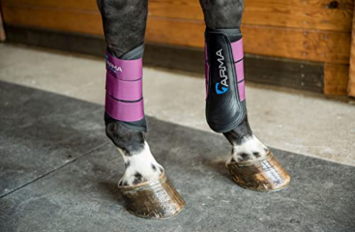 Shires Arma Air Motion Brushing Boots (Plum, Pony)