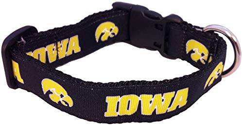 College Dog Collar (Medium, Iowa)