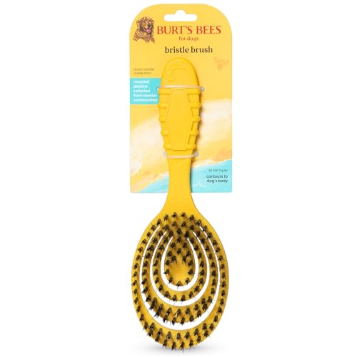 Burt'S Bees For Pets Bristle Brush With Natural Boars Hair & Nylon With Handle Made From Recycled Plastics Collected From Coastal Communities | De-Shedding Dog Brush | Eco Friendly Dog Grooming Brush