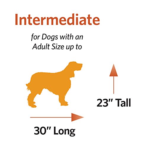 Midwest Homes For Pets Deluxe Dog Beds Super Plush Dog & Cat Beds Ideal For Dog Crates Machine Wash & Dryer Friendly, 1-Year War