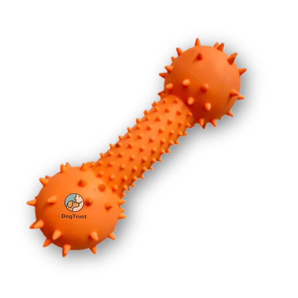 Dog Trust Dog Squeaky Toys for Aggressive Chewers, Almost Indestructible Squeaky Toys for Dogs, Teething Chew Toys for Medium La