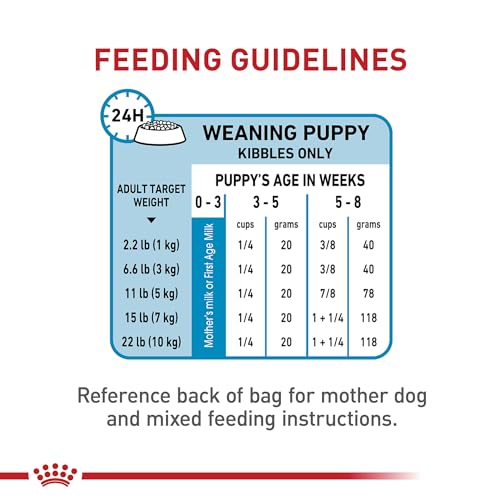 Royal Canin Size Health Nutrition Small Starter Mother & Babydog Dry Dog Food, 14 lb bag