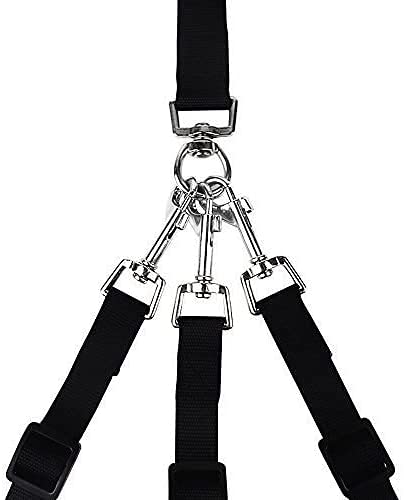 3 Way Dog Leash + A Collapsible Travel Bowl, Nylon Adjustable Coupler No Tangle Detachable 3 In 1 Multiple Dog Pet Cat Puppy Leash With Soft Padded Handle (Black)