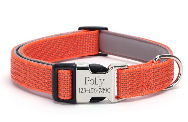 Pawtrail Personalized Dog Collar,Engraved Reflective Dog Collar, Custom Dog Collar, Pet Collar, Quick Release Buckle, Gift'S For