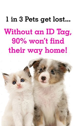 Baymax 2-Sided Pet Id Dog Tag Personalized For Your Pet