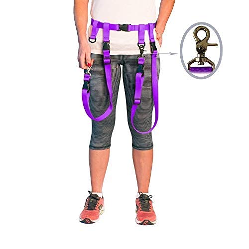 The Buddy System Accessories For Our Dog Leashes Made In Usa (Extra Buddy, Regular Dog Purple)