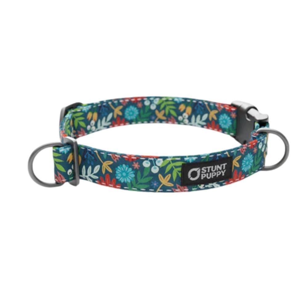 Frolic Fall Everyday Collar Large