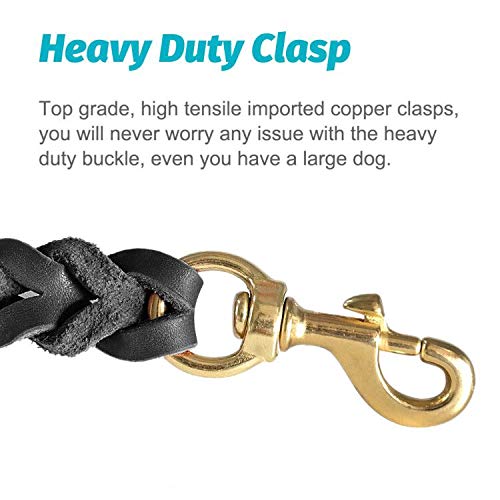 FAIRWIN Leather Dog Leash - 6ft Heavy Duty Braided Leash for Large/Medium Dogs, Black, Model FW004B
