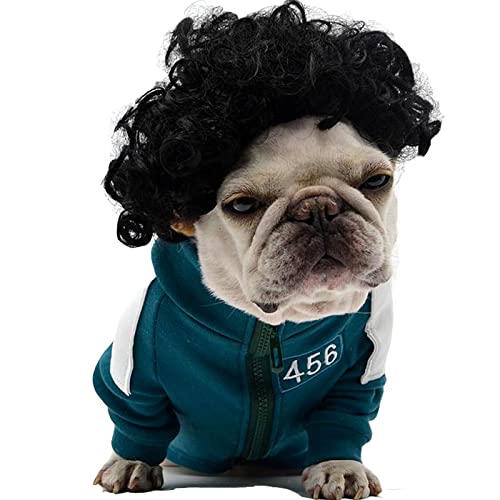 Pet K9 Funny Dog Cat Cosplay Wig, Pet Costumes, Cat Dress Up For Halloween, Christmas, Parties, Festivals, Dog Wigs For Small Medium And Large Sized Dogs (Black Curly Hair)