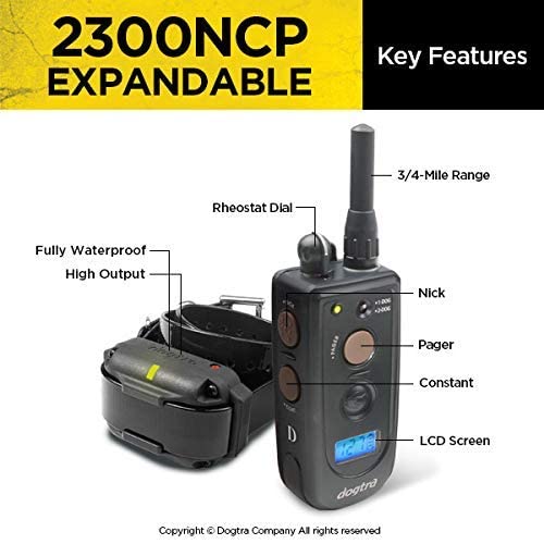 Dogtra Training Collar