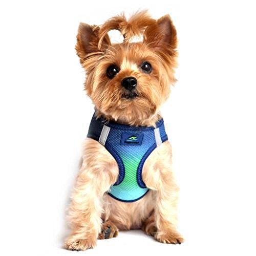 Doggie Design No Choke Dog Harness - Simple Step-In And Go Dog Vest For Small, Medium, And Large Breeds - Breathable Mesh Polyester Pet Harness - Northern Lights - 2Xl