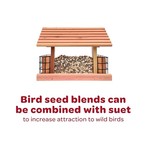 Kaytee Wild Bird Finch Food Blend, 5 lb