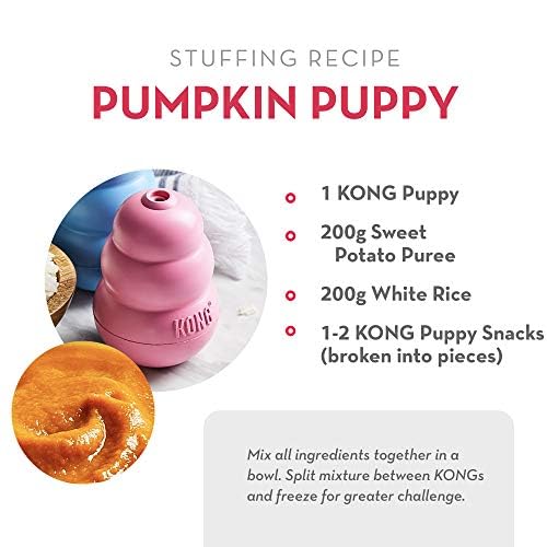 KONG Snacks for Dogs Puppy Recipe Small