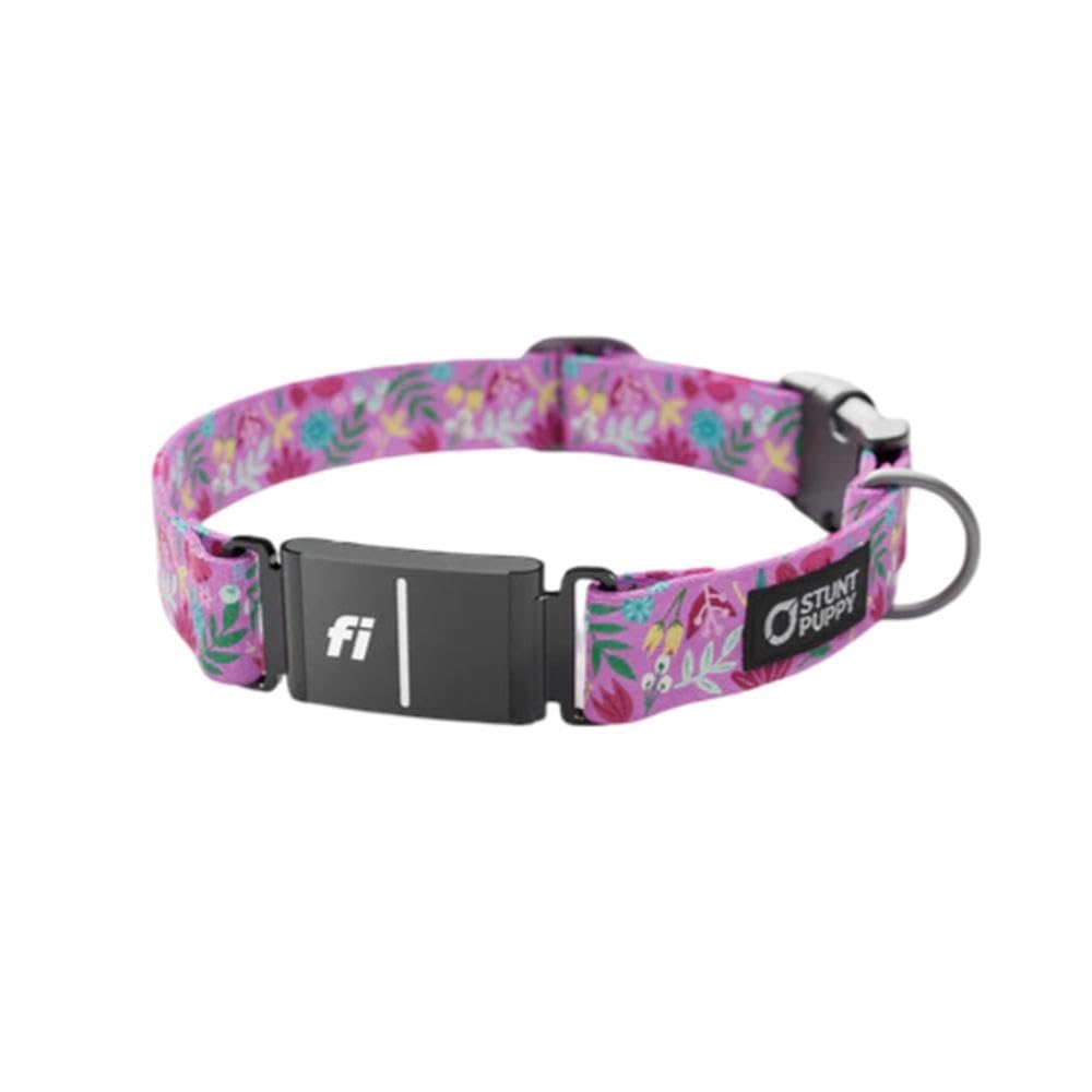 Stunt Puppy Dog Collar, Fi Series 3 Ready, Frolic Summer, Small - Compatible With Fi Gps Device (Not Included)