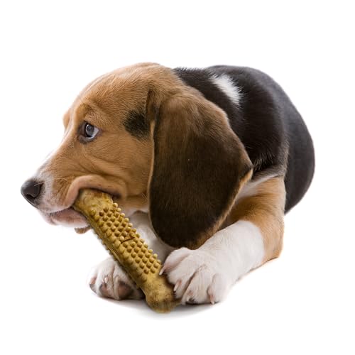 Nylabone Nubz Natural Edible Chew Treats for Dogs, Long Lasting Chews Made in USA, Chicken Flavor, Large - Up to 50 lbs. (8 Coun
