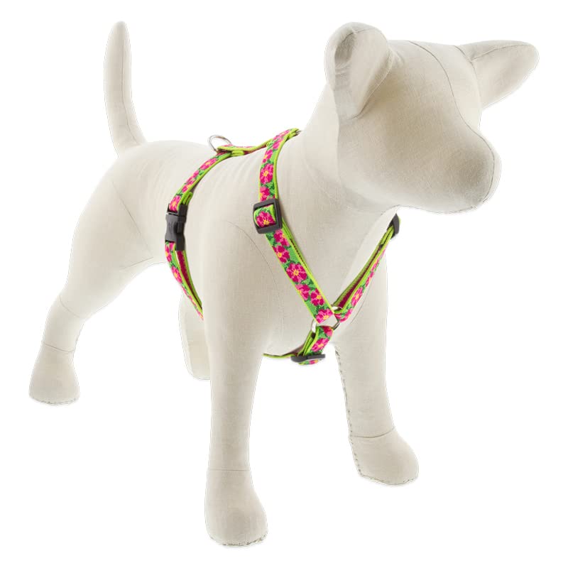 Lupine Adjustable Dog Harness in 3/4'' Wide Petunias with 20-32'' Girth
