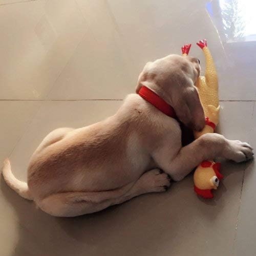 LEGEND SANDY Screaming Chicken Dog Toys,Yellow Rubber Squaking Chicken Toy Novelty and Durable Rubber Chicken for Dogs,Rubber Ch