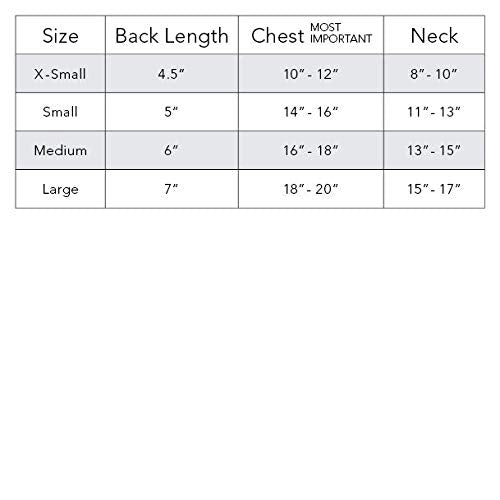 Cool Mesh Dog Harness with Leash - Catching Waves (Medium)