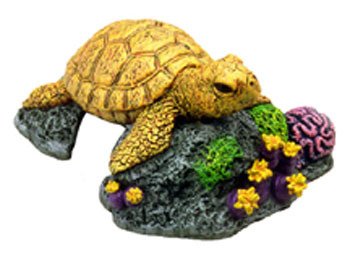 Blue Ribbon Exotic Environments Sea Turtle