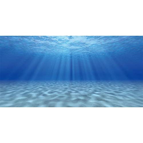 Awert Ocean Floor Background Undersea Aquarium Background Sunshine Underwater World Fish Tank Background 72X24 Inches Polyester Background