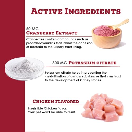 K-Plus Potassium Citrate Plus Cranberry Granules for Dogs and Cats - Veterinarian Approved UTI Remedy Granules - Supports Bladde