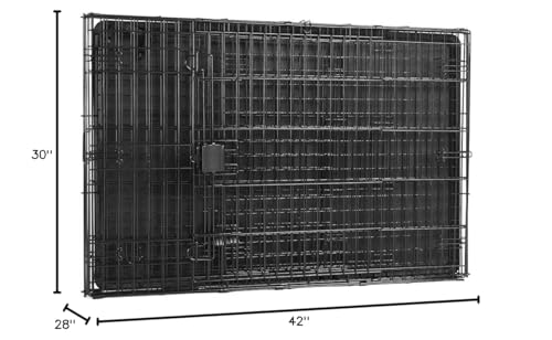 Amazon Basics Durable Foldable Metal Wire Dog Crate, Double Door, 42"x28"x30", Black, Model 9001N-42B