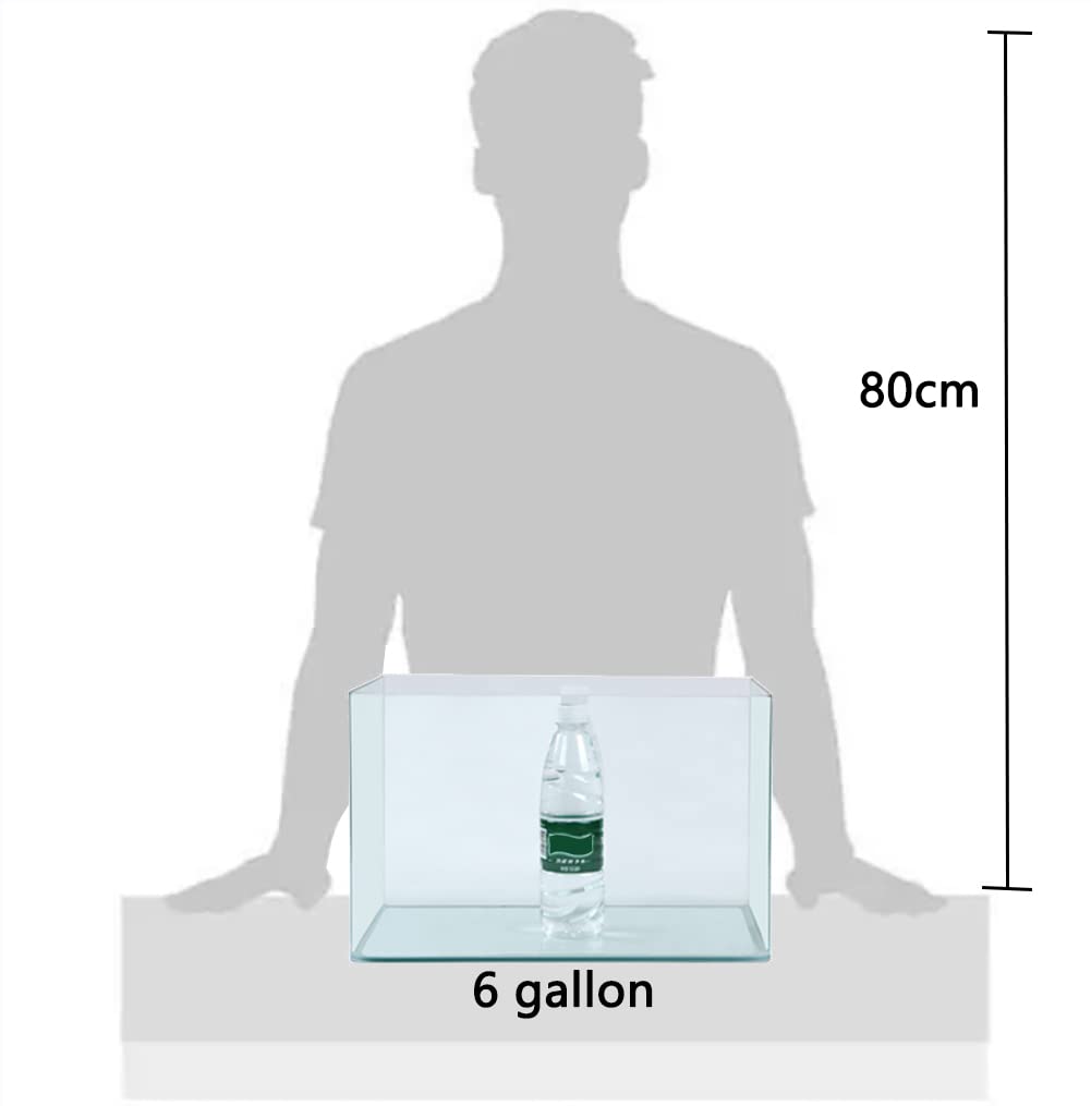 Hot Bending Fish Tank,Rimless Tank, 6 Gallon Aquarium Fish Tank
