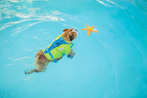 Outward Hound Floatiez Starfish Floating Dog Toy, Medium, Yellow/Red, 10.5x9.5 Inch - Perfect for Water Play and Fetch