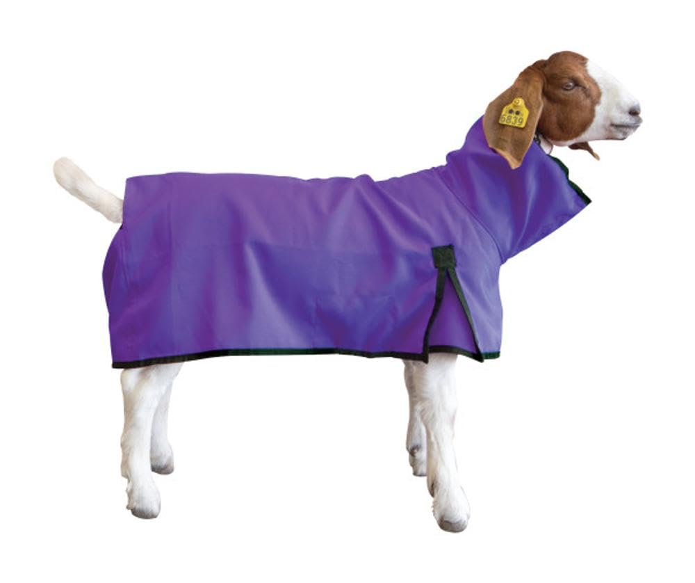 Weaver Leather unisex adult Bohemian Goat Blanket, Purple, Medium