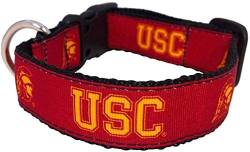 College Dog Collar (Medium, USC)