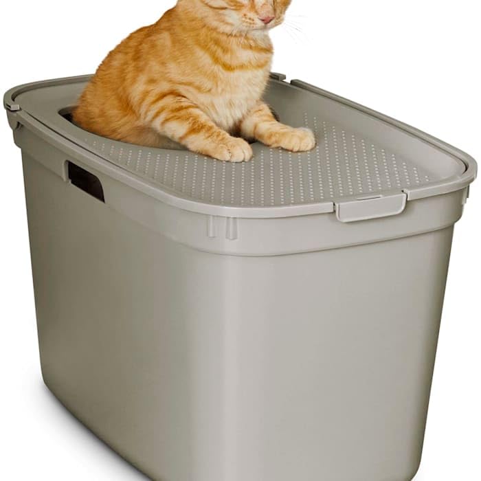 So Phresh Top-Entry Litter Box 23.23' H X 15.5' W X 15.13' L