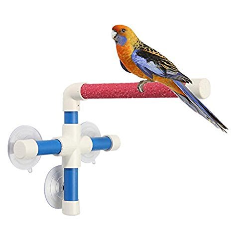 Keersi Suction Cup Shower Perch Window Wall Stand For Bird Parrot Parakeet Cockatiel Conure African Greys Amazon Cockatoo Budgie
