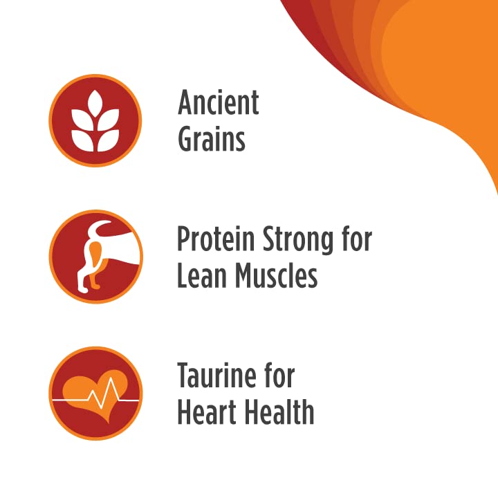 Nulo Frontrunner Ancient Grains High-Protein Dog Food, Turkey, Trout & Spelt Recipe- Natural Dry Dog Food with Probiotics, Grain