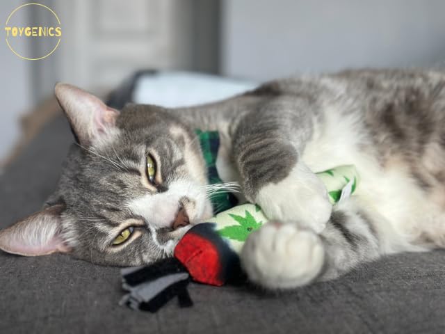 TOYGENICS - Catnip Toys for Indoor Cats, Cat Toy for Cat Enrichment, Durable Catnip Cat Wand Toy W/String Ends, Cat Toys for Ind