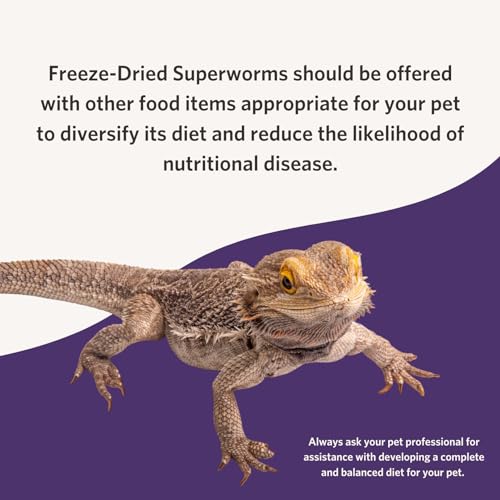 Flukers Freeze Dried Superworms for Reptiles