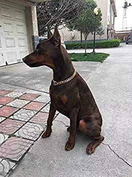 Loveshine Chain Dog Collar 18K Gold Cuban Link Dog Chain Chain Collar Metal Stainless Steel Heavy Duty Slip Dog Collars For Smal