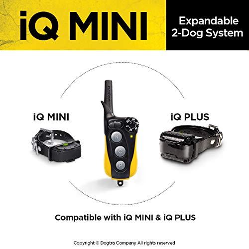 Dogtra Iq Mini Small Dog Remote Training System - 400 Yard Range Collar, Rechargeable Remote Trainer, Waterproof, Static, Vibration Pager Training With Petstek Dog Training Clicker