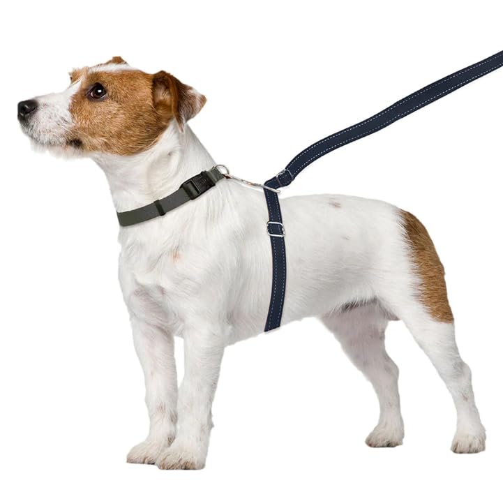 ThunderLeash No-Pull Dog Leash (Small (12 to 25 lbs), Black)