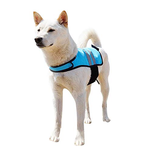 Adventure Cooling Vest - Teal - M