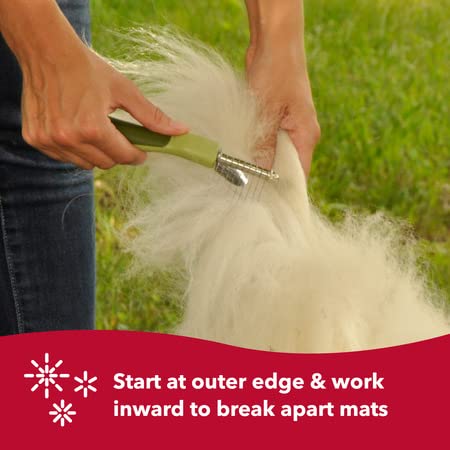 Coastal Pet Safari Dog De-Matting Comb - Serrated Stainless Steel Grooming Tool For Dogs With Medium To Long Hair - Keeps Coats Smooth & Soft - One Size