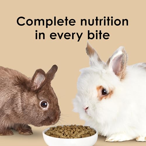 Kaytee Timothy Complete Rabbit Food 4.5 lb