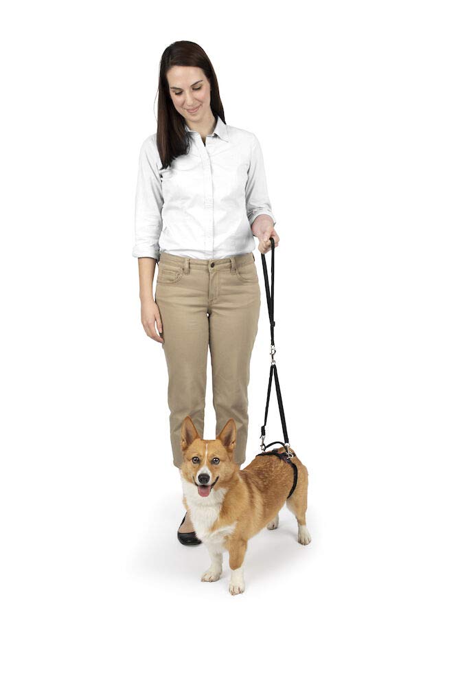 Petsafe Carelift Rear Support Harness - Lifting Aid With Handle - Great For Pet Mobility And Older Dogs - Comfortable, Breathabl