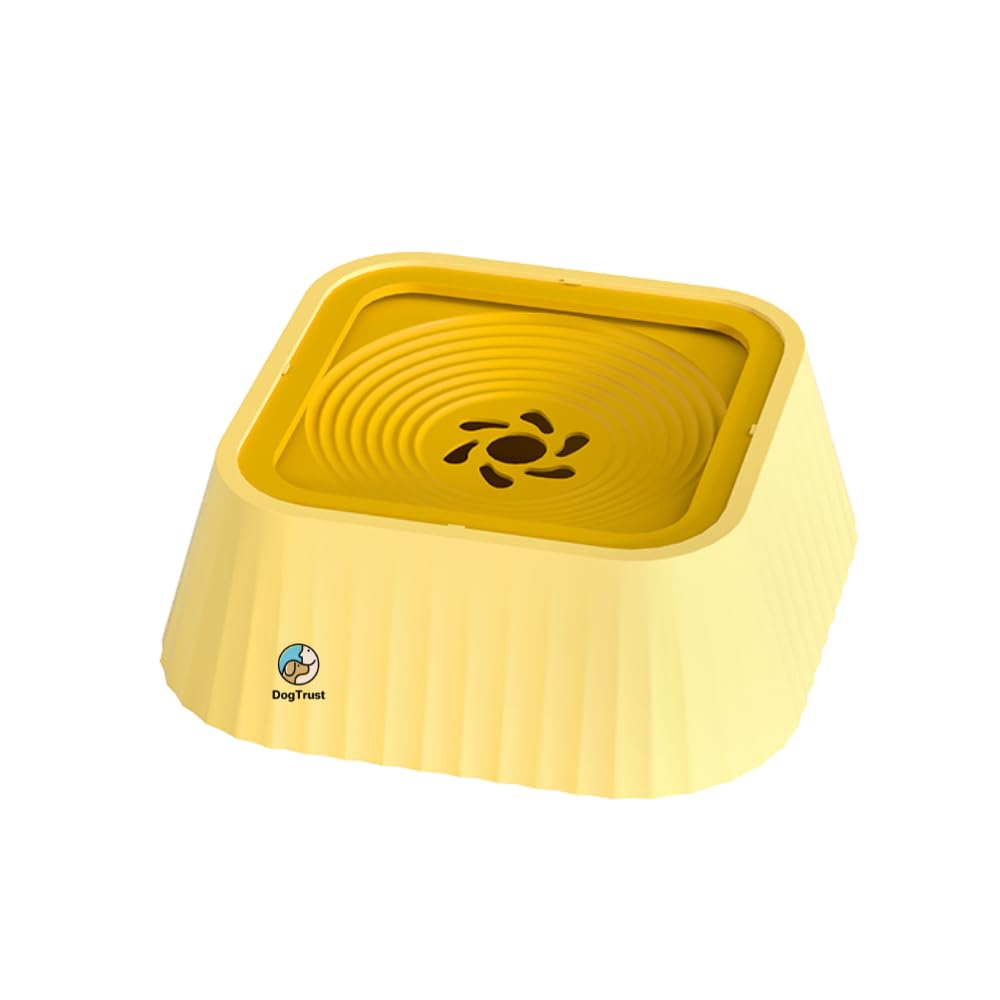 Dog Trust Premium Pet Water & Food Dish  AntiSlip, NonSkid Bowl For Cats, Small Dogs & Puppies | Strong, Hygienic & Everyday 