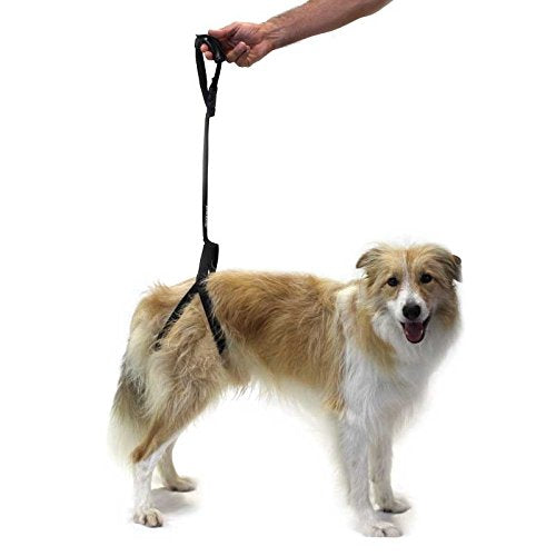 Ortocanis - Rear Harness Support For Dogs. One Size (For Dogs From 4 To 55 Kg)